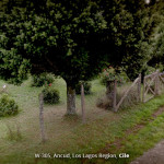 Cile-MkLbh